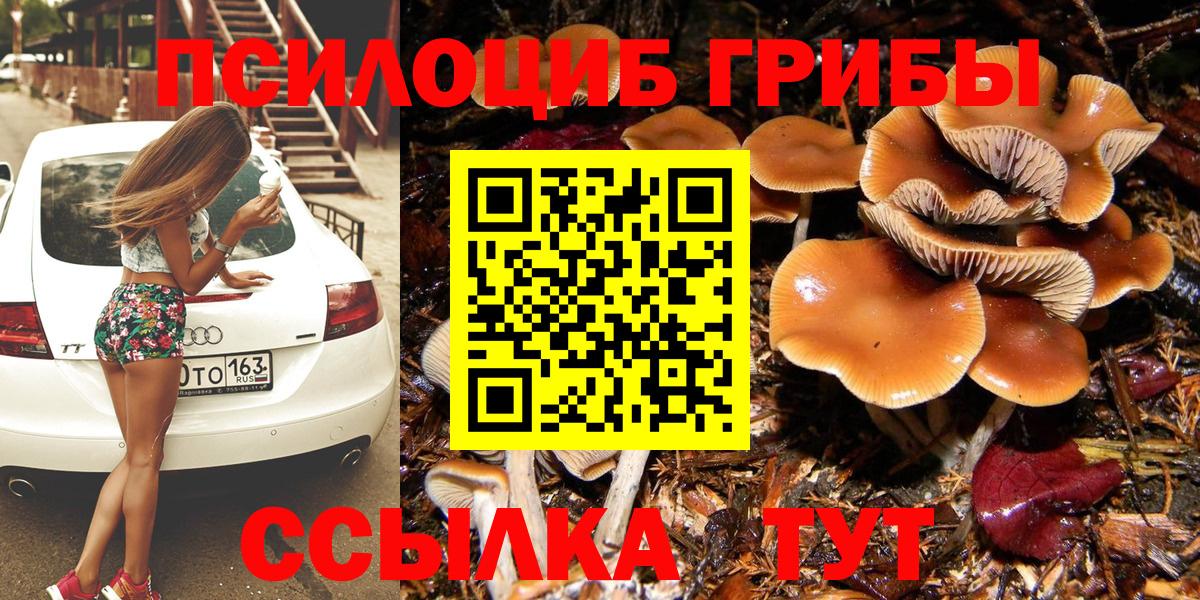 Джанкой  Псилоцибиновые грибы Psilocybe  Вход с VPN 